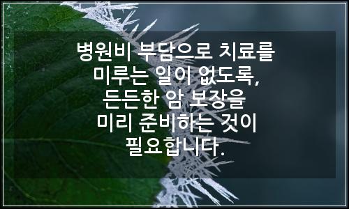 오늘의 이미지