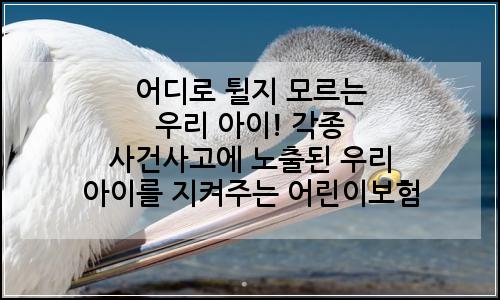 오늘의 이미지
