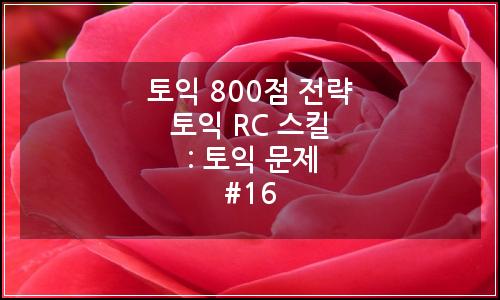 오늘의 이미지