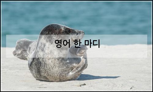 오늘의 이미지
