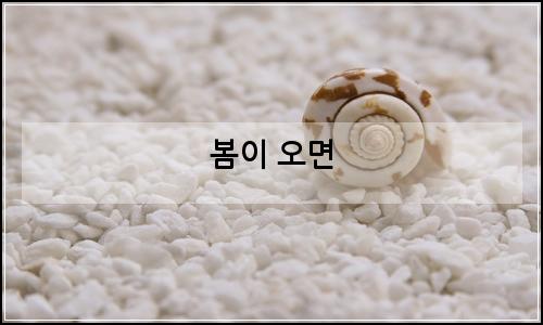 오늘의 이미지