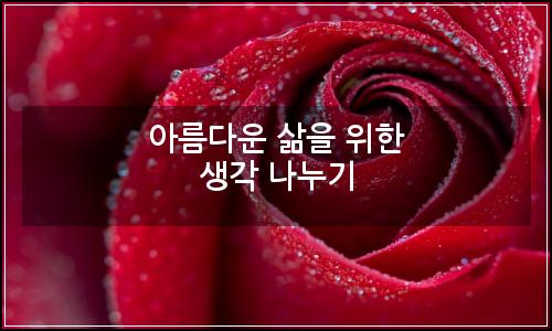 오늘의 이미지