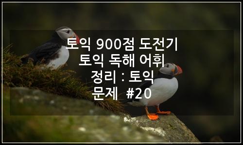 오늘의 이미지