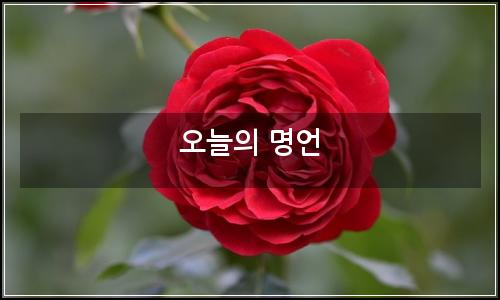 오늘의 이미지