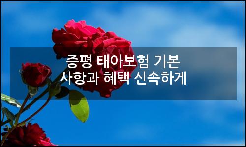 오늘의 이미지
