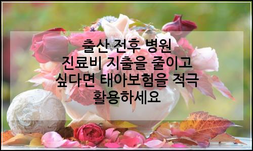 오늘의 이미지