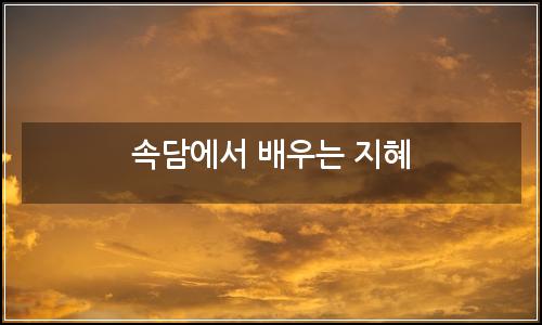 오늘의 이미지
