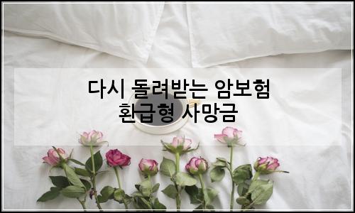 오늘의 이미지