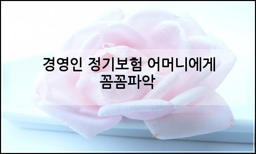 오늘의 이미지