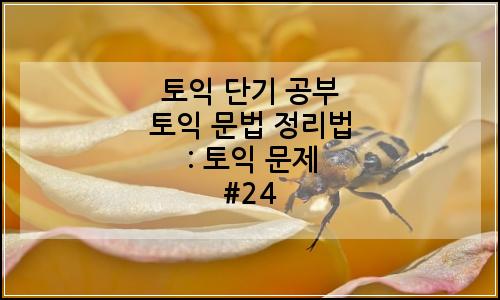 오늘의 이미지