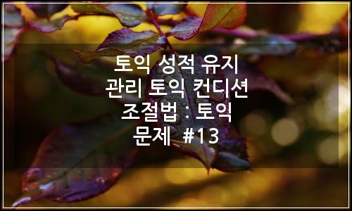 오늘의 이미지