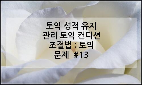 오늘의 이미지