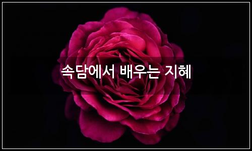 오늘의 이미지