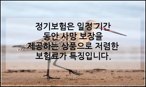오늘의 이미지
