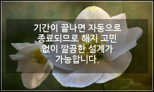 오늘의 이미지