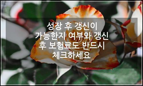 오늘의 이미지