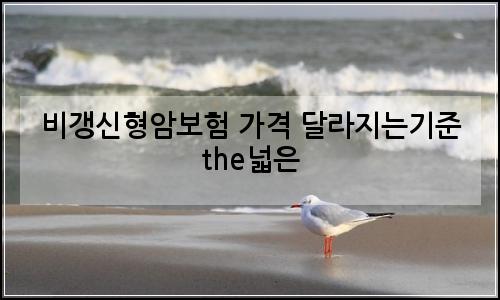 오늘의 이미지
