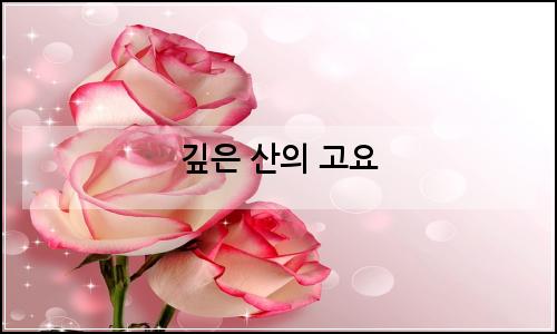 오늘의 이미지