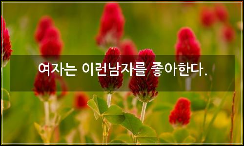 오늘의 이미지