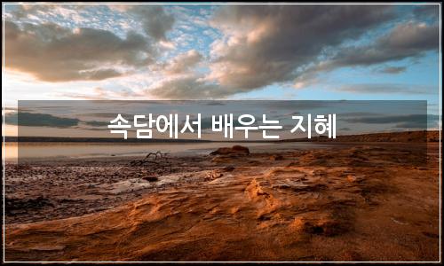 오늘의 이미지