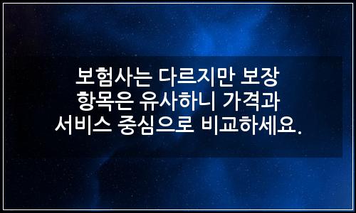 오늘의 이미지