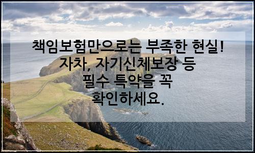 오늘의 이미지