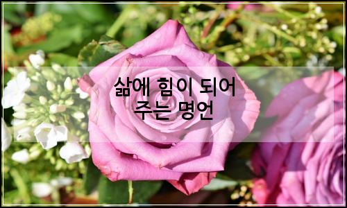 오늘의 이미지
