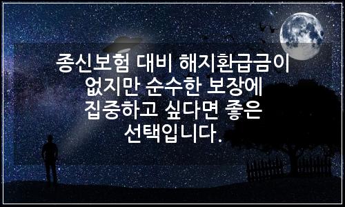 오늘의 이미지