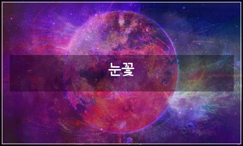 오늘의 이미지
