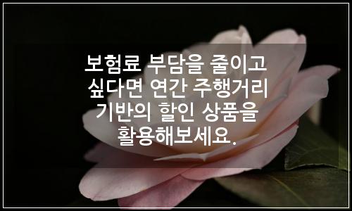 오늘의 이미지