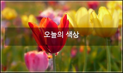 오늘의 이미지