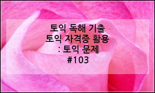 오늘의 이미지
