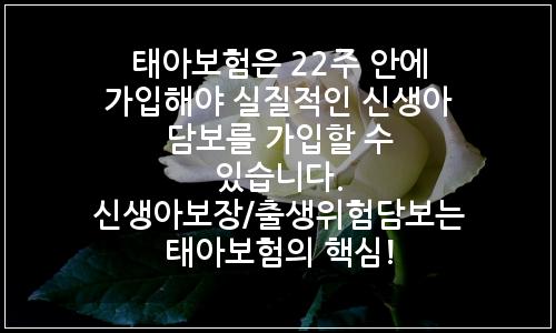 오늘의 이미지