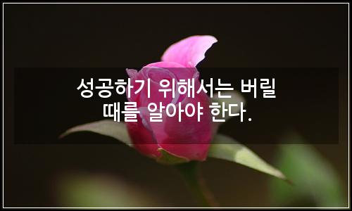 오늘의 이미지