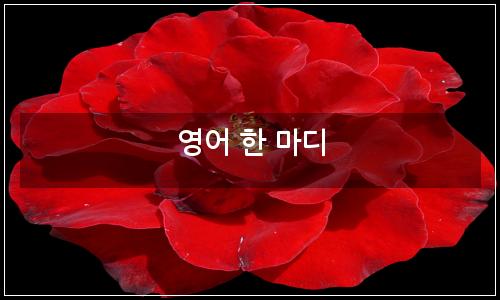 오늘의 이미지