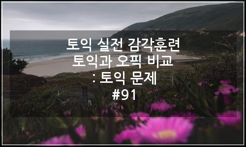 오늘의 이미지