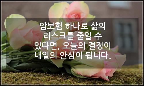 오늘의 이미지