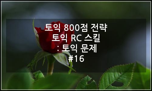오늘의 이미지