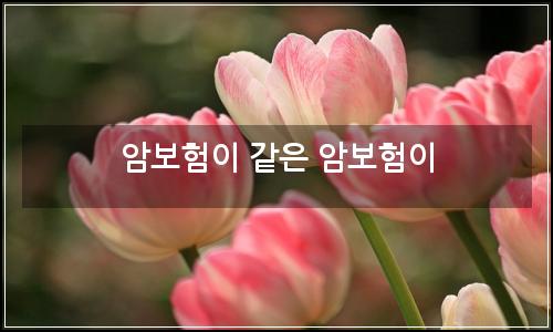 오늘의 이미지