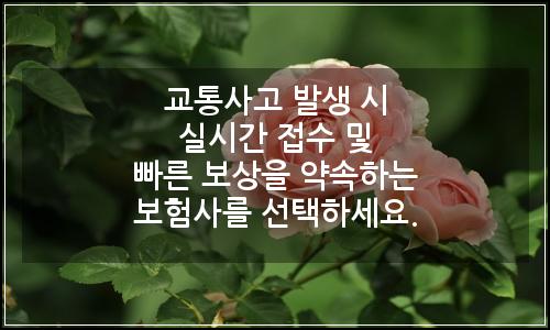 오늘의 이미지