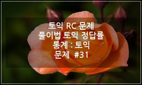오늘의 이미지
