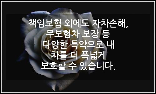 오늘의 이미지