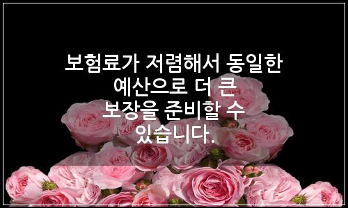 오늘의 이미지