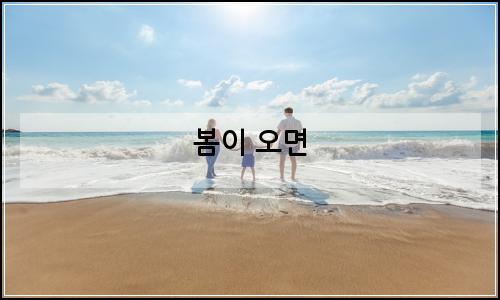 오늘의 이미지