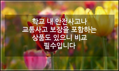 오늘의 이미지