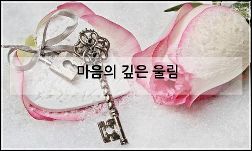 오늘의 이미지