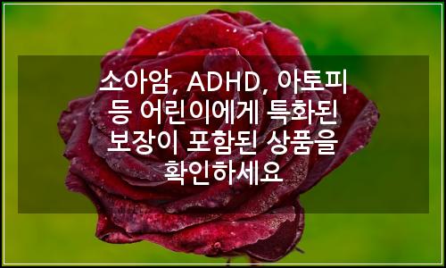 오늘의 이미지