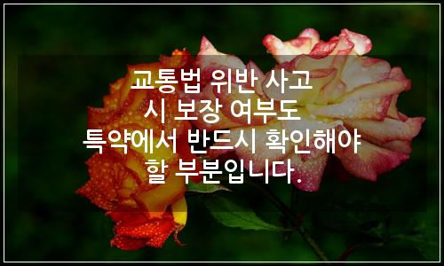 오늘의 이미지