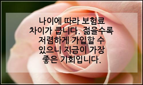 오늘의 이미지