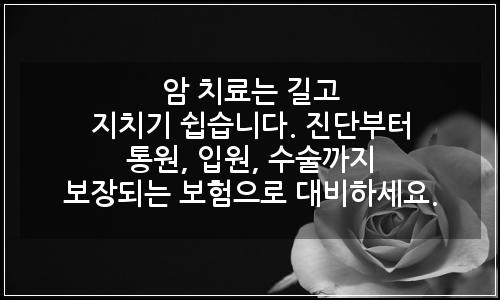 오늘의 이미지